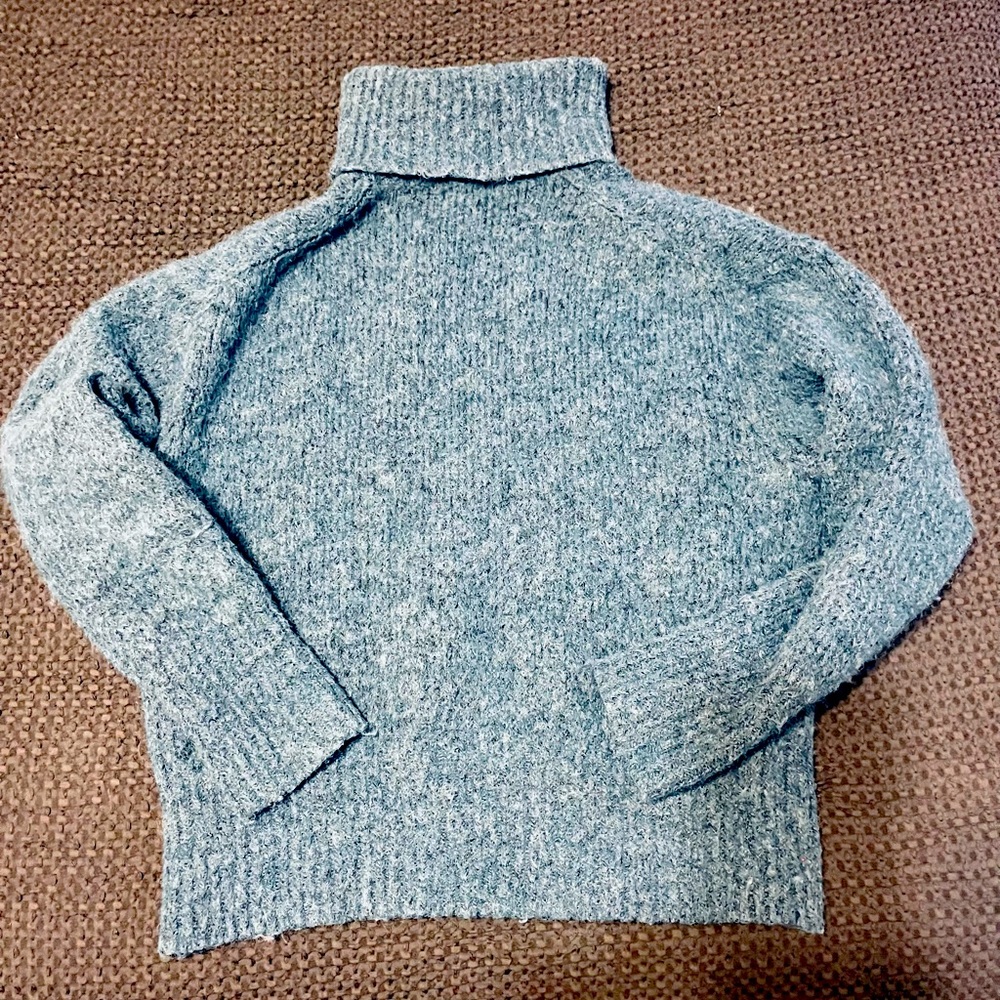 Zara Wool Turtleneck in Blue